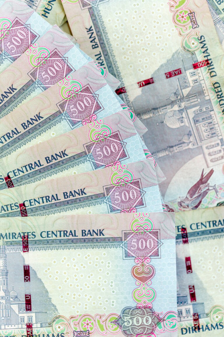 UAE dirhams, paper money, closeup view
